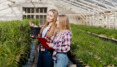 How to Pursue an Agriculture Degree in Canada